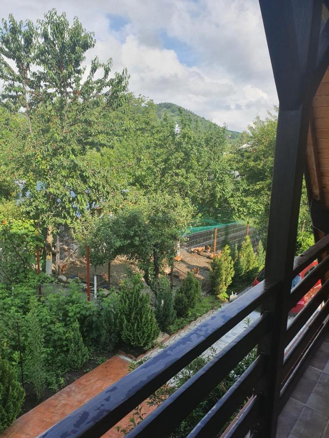 Casa Stefandra Hotel Breaza  Luaran gambar