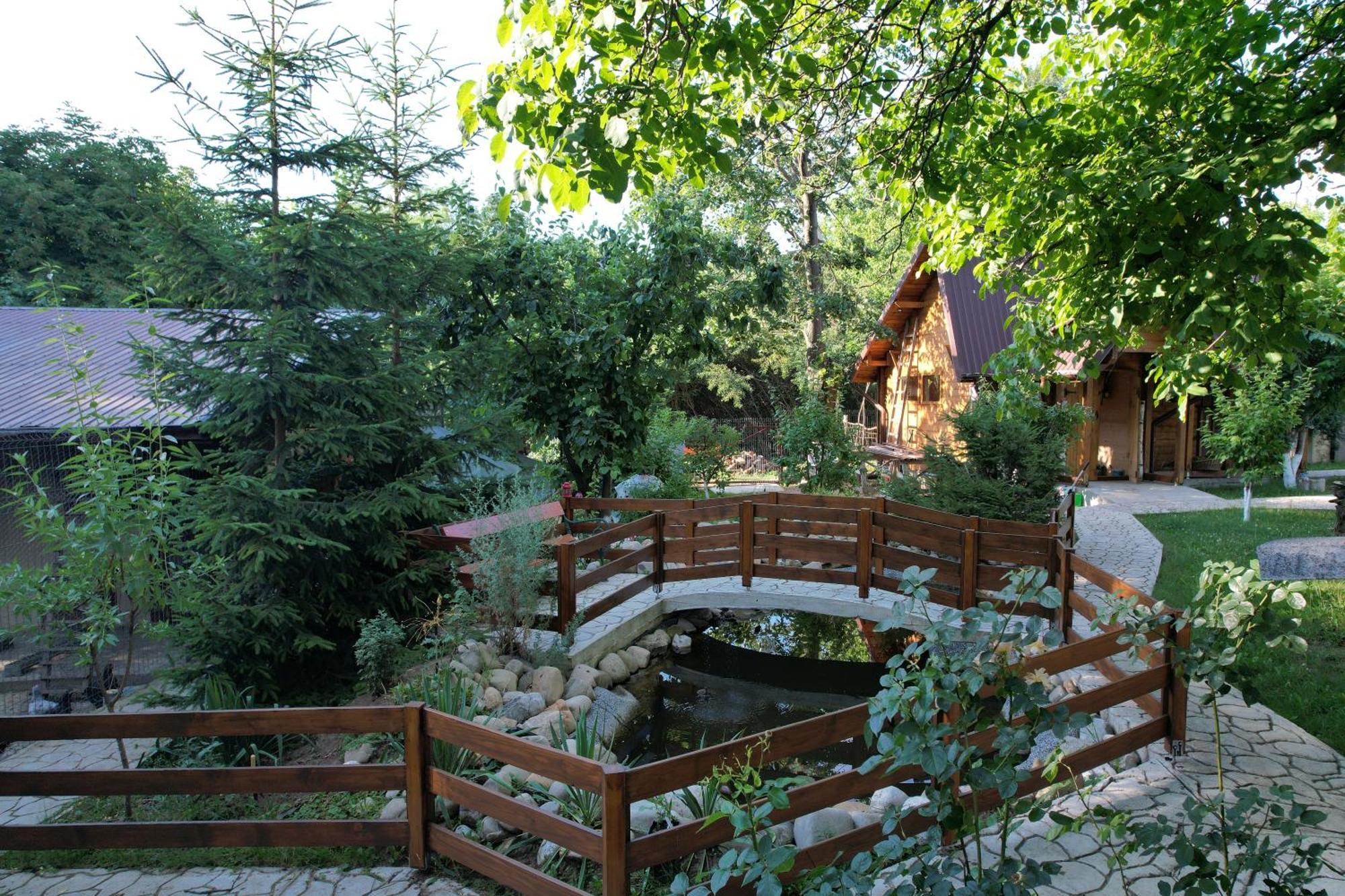 Casa Stefandra Hotel Breaza  Luaran gambar