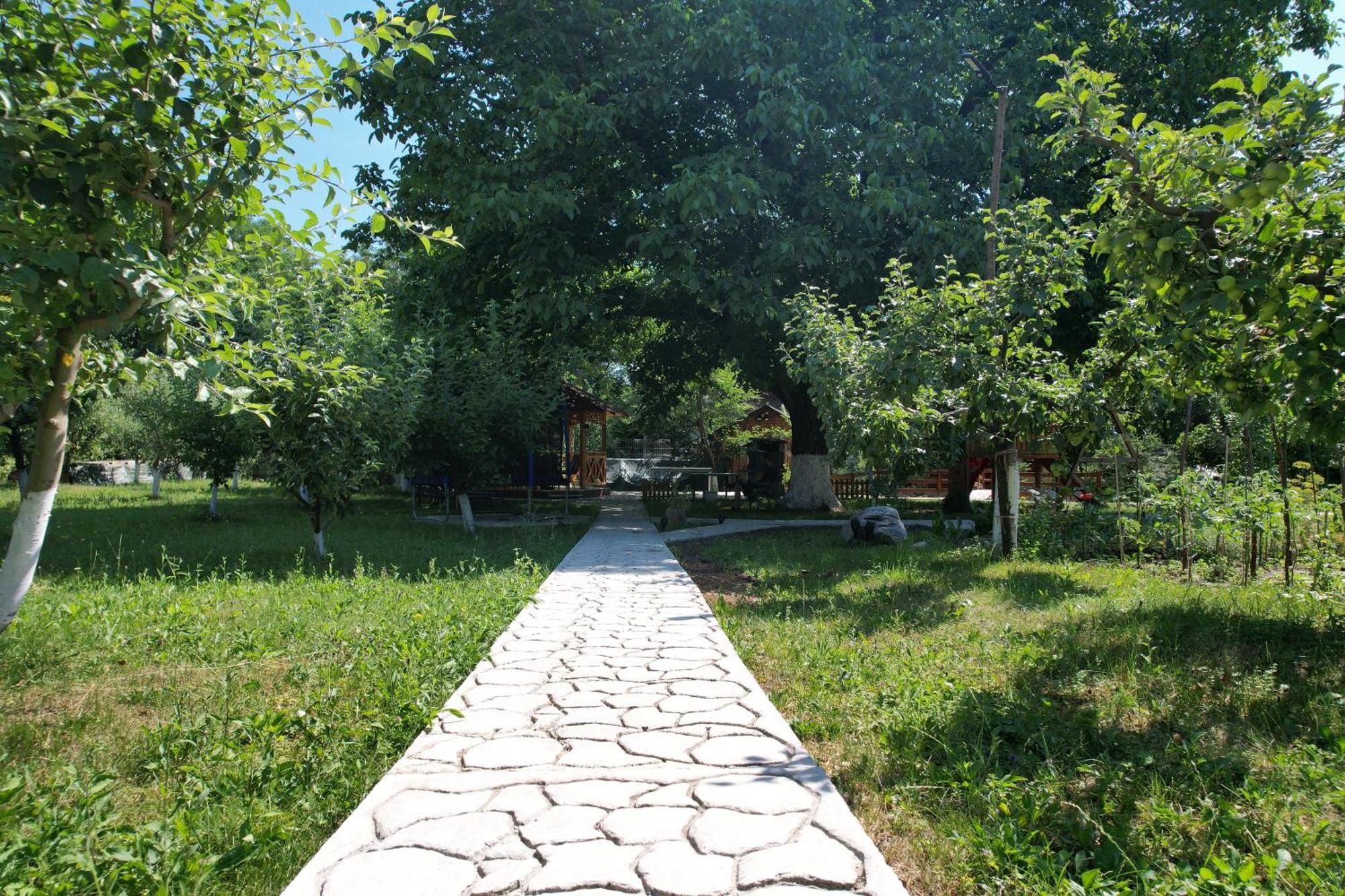 Casa Stefandra Hotel Breaza  Luaran gambar